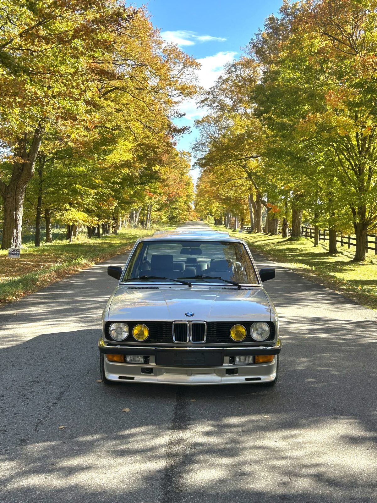 Silver 1986 BMW 535i on a tree-lined country road